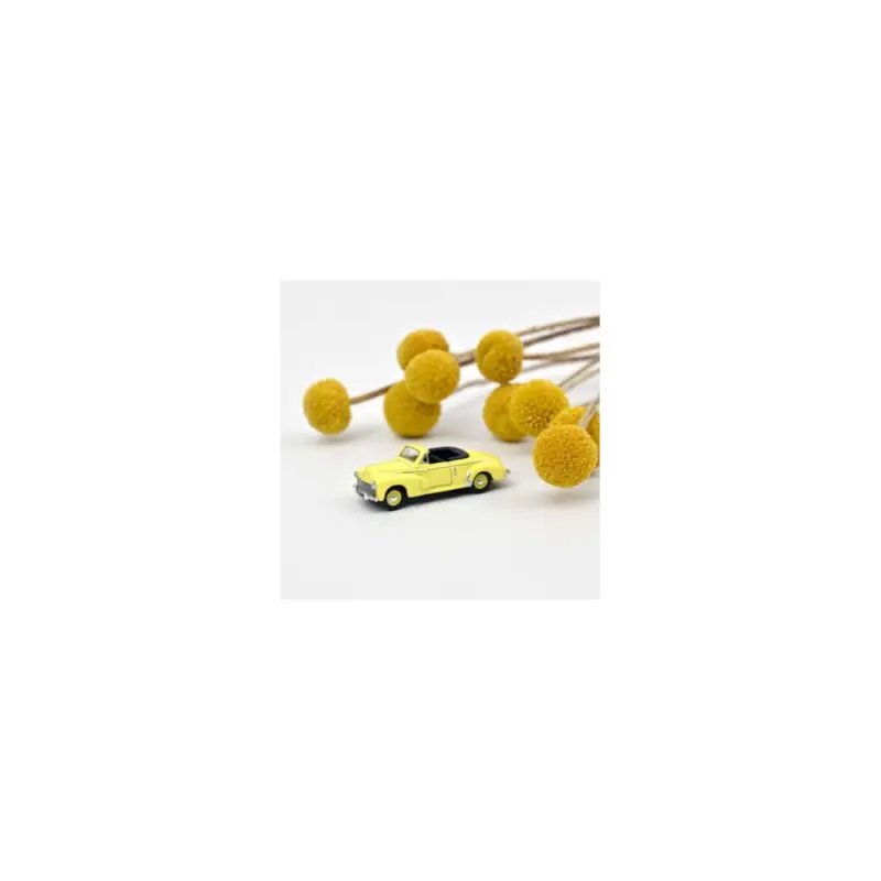Remise PEUGEOT 203 cabriolet 1952 Jaune Sulphur 1/87 NOREV
