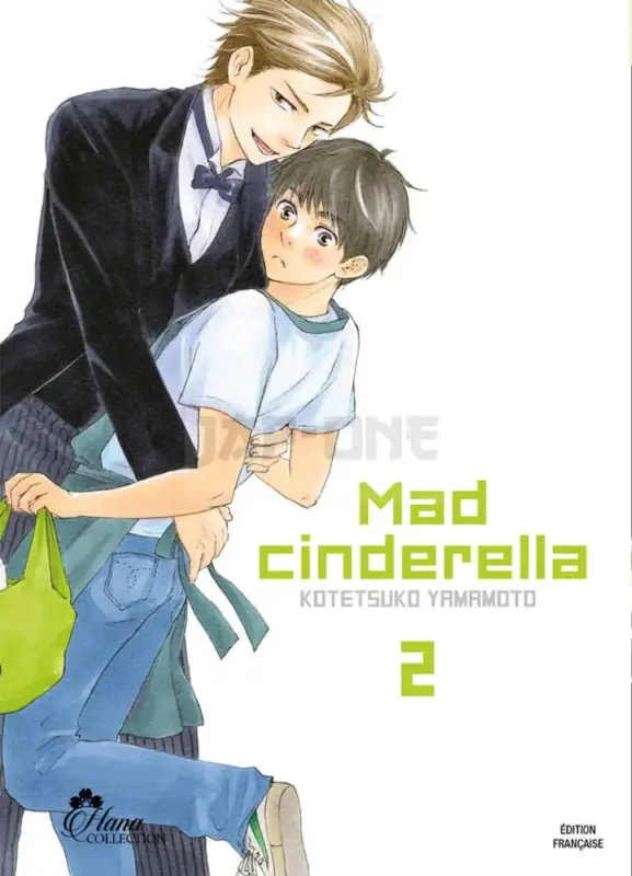 Solde MAD CINDERELLA - TOME 02 - LIVRE (MANGA) - YAOI - HANA COLLECTION