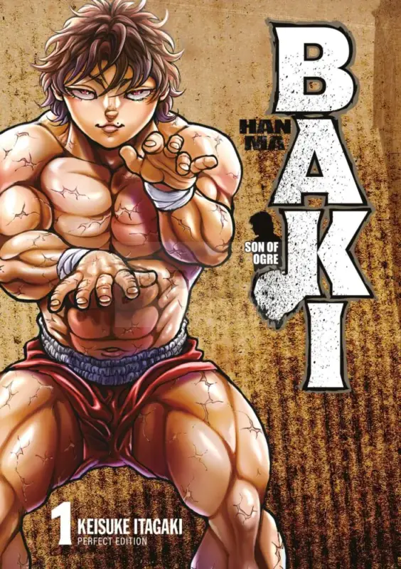 Offre Du Jour INTEGRALE HANMA BAKI PERFECT EDITION TOME 1 À TOME 12 + Goodie aléatoire offert