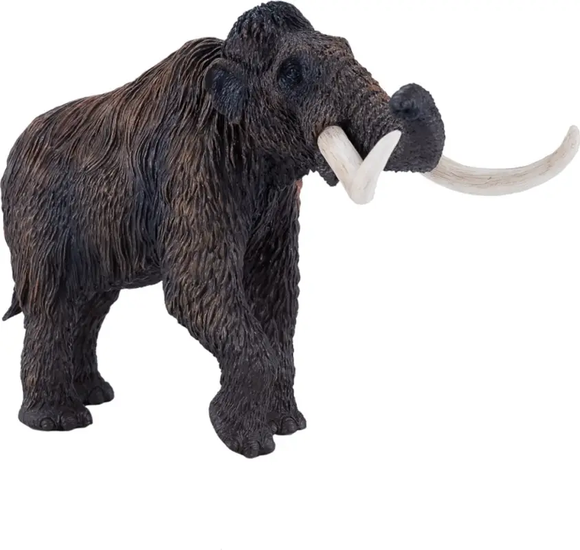 Achat Immédiat Mojo Mamut laineux