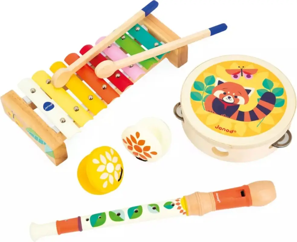 Prix Choc Janod Gioia Ensemble d'instruments de musique en bois flûte-tambourin-xylophone-castagnettes