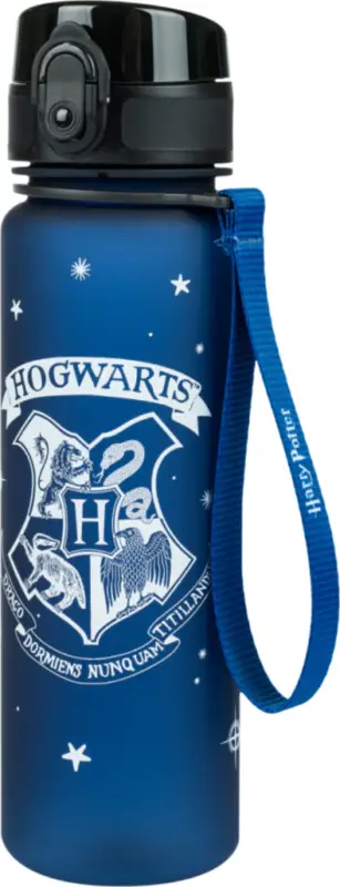 Offre Du Jour BAAGL Bouteille en tritan pour boissons Harry Potter Gryffondor, 500 ml