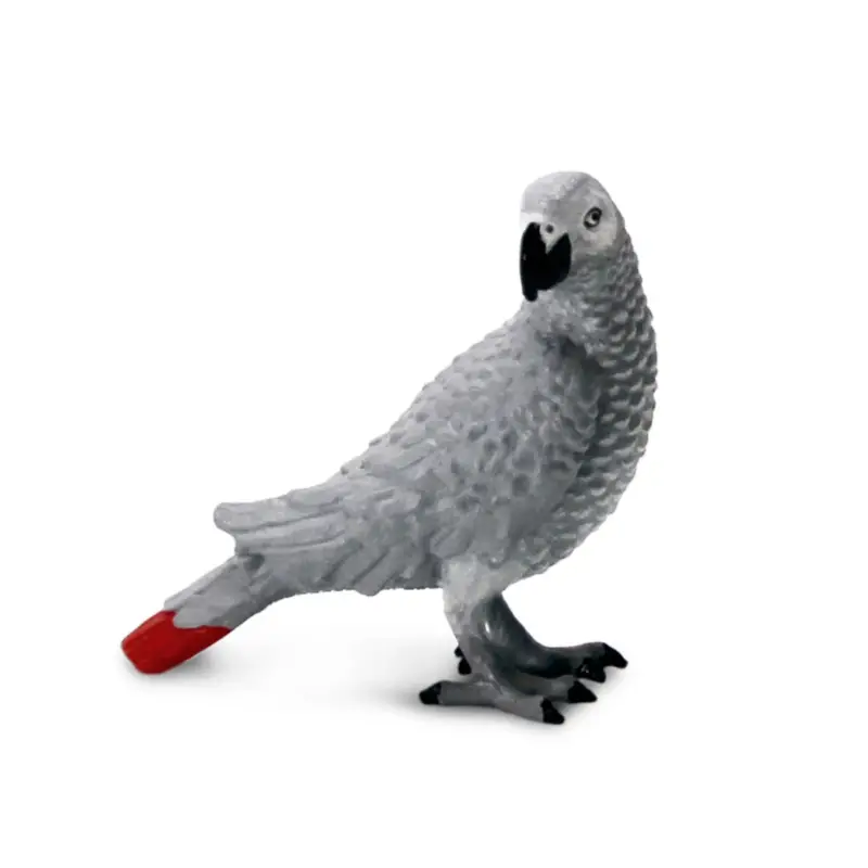 Safari® Perroquet gris d'Afrique Promotion
